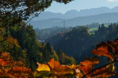 Herbstlich umrahmte Gmündertobelbrücke mit Alpstein. (Bild: Franz Häusler)