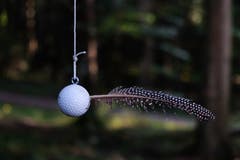 Erstaunlich, was man mitten im Wald entdecken kann. Eine Skulptur "Golfball mit Feder" (Künstler unbekannt). (Bild: Franz Häusler)