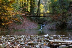 Herrliche Herbststimmung im Wattbachtobel bei der Höll. (Bild: Franz Häusler)