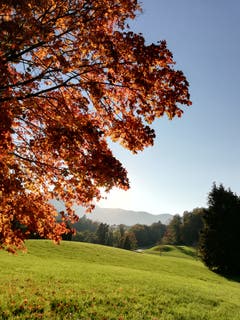 Aufnahmeort Kastanienbaum/Horw (Bild: Larisa Gheorghe).