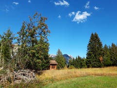 Herbstimpressionen auf dem Toggenburger Klangweg. (Bild: Klaus Businger)