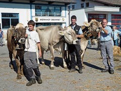 Die Jungzüchter putzten und schmückten ihre Kälbchen, beschrieben sie mit Gedichten und Liedern. (Bilder: Kurt Latzer)