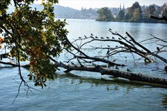 Sonnen-Vollbad am Quai, in Luzern. (Bild: Josef Habermacher (Luzern, 11. Oktober 2018))