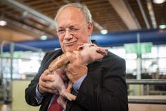 Johann Schneider-Ammann posiert am Eröffnungs-Donnerstag mit dem traditionellen Olma-Säuli am Rundgang durch die Olma. (Bild: Benjamin Manser)