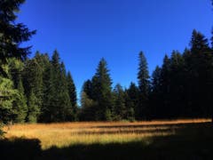 Stilles Hochmoor im Alpstein. (Bild: Toni Sieber)