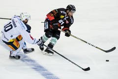 Zugs Dominik Lammer (links) kämpft um den Puck gegen Berns Thomas Rüfenacht. (Bild: Keystone/Peter Schneider (12. Oktober 2018))