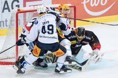 Vor dem Tor des SC Bern wird es eng: Torhüter Leonardo Genoni (rechts) muss sich gegen die Zuger Reto Suri (Mitte) und Miro Zryd behaupten. (Bild: Keystone/Peter Schneider (12. Oktober 2018))