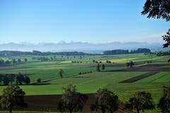 Frisch gepflügte Äcker mit dunkler Erde, auf dem Gunzwiler Moos. (Bild: Josef Habermacher (Gunzwil, 13. Oktober 2018))