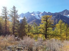 Wunderschöne Berge der Mischabelgruppe. (Bild: Bruno Ringgenberg (Kreuzboden-Saas Grund, 12. Oktober 2018))