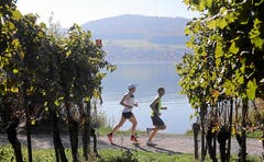 Die Läufer laufen entlang eines Weinberges und geniessen die Aussicht auf den See. (Bild: Andy Mettler/Swiss Image)