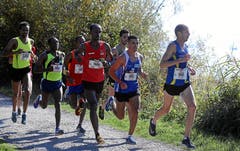 Die Eliteläufer des Halbmarathons am Ufer des Hallwilersees. (Bild: Andy Mettler/Swiss Image)