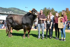 Kantonale Viehschau Nidwalden 2018 in Oberdorf: Mister Nidwalden 2018 ist der Stier Marc von Besitzer Sepp Kiser aus Ennetmoos. (Bild: Matthias Stadler, 13. Oktober 2018)