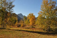 Goldener Oktober-Sonntag auf der Wolzenalp. (Bild: Christian Haab)