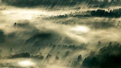 Gesehen vom Hohen Kasten aus: Im Rheintal wabern die Morgennebel. (Leserbild: Remo Schläpfer - 7. Oktober 2018)