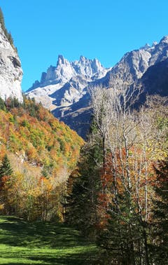 Engelberg,Wanderung Richtung Alpenrösli: Herbstwald mit Spannörter. (Bild: Maria Infanger-Steiner (Engelberg, 13. Oktober 2018))