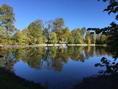 Tiefer Pegelstand und spiegelglatte Wasserfläche ab Bubenweier. (Leserbild: Janny van der Graaff - 15. Oktober 2018)