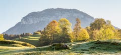 Fronalpstock hinter Herbstfarben. Aufgenommen unterhalb von Seelisberg. (Bild: Erich Heiniger (Seelisberg, 13. Oktober 2018))