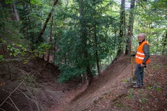 ...durch den Wald. Sie versuchen die Tiere direkt zu den... (Bild: Raphael Rohner)