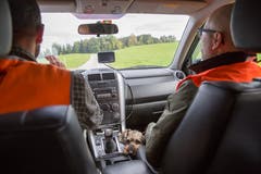 Auf der anderen Seite des Waldes fahren die Treiber zum Wald. (Bild: Raphael Rohner)