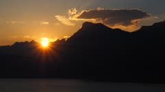 Morgenstund hat tatsächlich Gold im Mund. (Bild: Franz Stalder)
