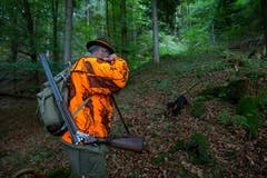 ...verlässt den Wald ohne Beute. (Bild: Raphael Rohner)
