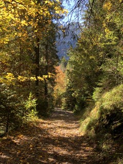 Was für eine unvergessliche "Wohlfühl-Oase" ! Fotografiert nach der Wanderung kurz vor dem geplanten Etappenziel beim Kemmeriboden Bad. (Bild: Margrith Imhof-Röthlin)