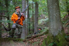 ...im Wald auf Position. Dann heisst es für den Jäger... (Bild: Raphael Rohner)