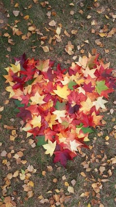 So schön kann der Herbst sein! (Bild: Anita Kempf-Marschik)