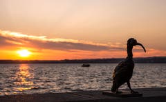 Sonnenuntergang Zugersee (Bild: Daniel Hegglin)