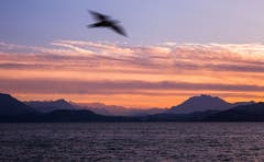 Abendrot über den Alpen (Bild: Daniel Hegglin)