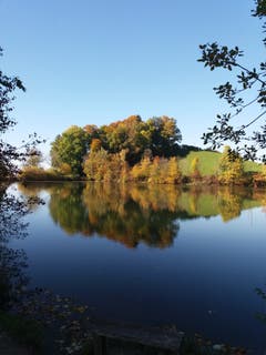 Der Herbst zieht auch am Gübsensee in St.Gallen ein. (Bild: Dominik Karrer)