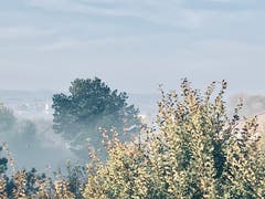 Herbstnebel über dem Tägermoos. (Bild: Voker Heske)