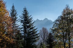 Der Morgen erwacht. Der Säntis umrahmt vom Chräzerenwald. (Bild: Franz Häusler)