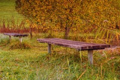 Rastplatz beim Wenigerweiher. (Bild: Franziska Hörler)
