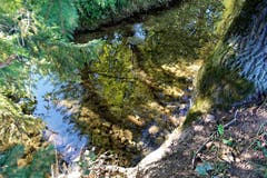 Farben-Spiegelung im Wasser der Winon, beim Weiler Winon. (Bild: Josef Habermacher (Gunzwil, 16. Oktober 2018))