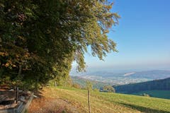 Sommerlicher Herbsttag auf dem «Allerheiligenberg» oberhalb Hägendorf (SO). (Bild: Josef Habermacher)