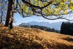 Goldener Herbst auf Gössigen. (Bild: Franz Häusler)