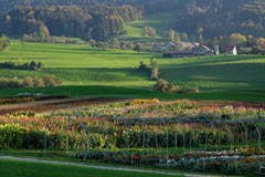Herbstlandschaft beim Mötteliweiher, bunt und grün. (Bild: Franz Häusler)
