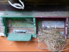 Bewohnerwechsel im Bienenhaus beim Soppensee. (Bild: Josef Lustenberger (Buholz, 17. Oktober 2018))