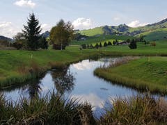 Weiher beim Golfplatz Gonten. (Bild: Brigitta Rutishauser)