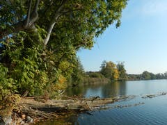 Verträumter Herbst am Baldeggersee. (Bild: Gerhard Estermann (Gelfingen, 17. Oktober 2018))