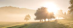 Nebelstimmung bei Sonnenaufgang. (Bild: Priska Ziswiler-Heller (Ettiswil, 12. Oktober 2018))