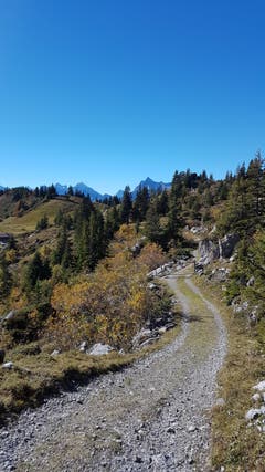Herrliche Herbstwanderung mit allen Facetten des Herbstes! (Bild: Karin Gasser, 13. Oktober 2018))