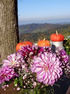 Herbstliche Dekoration bei der Brestenegg. (Heidi Bucher, 13. Oktober 2018))