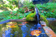 Wasser im Herbst. (Bild. Dirk Brandt (Luzern Sonnenberg, 1. Oktober 2018))