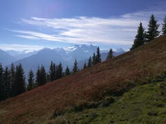 Auf dem Gibelweg oberhalb der Käserstatt im Hasliberg hat man eine herrliche Sicht auf den Rosenlauigletscher. (Bild: Urs Gutfleisch (Gibel, 17. Oktober 2018))