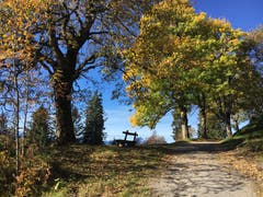 Auf dem Weg von Rigi Kaltbad zum Känzeli. (Bild: Angela Boddé (Rigi Kaltbad, 12. Oktober 2018))