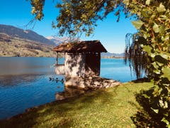 Spaziergang am Sarnersee. (Bild: Susi von Matt (Sachseln, 14. Oktober 2018))