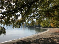 Herbstfarben prägen den verlassenen Badestrand. (Bild: Brigit König (Luzern, 16. Oktober 2018))