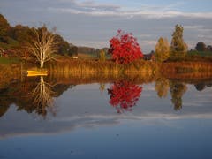 Stimmungsvoller Moment am Ostergauer Weiher. (Bild: Heidi Bucher (Willisau, 10. Oktober 2018))